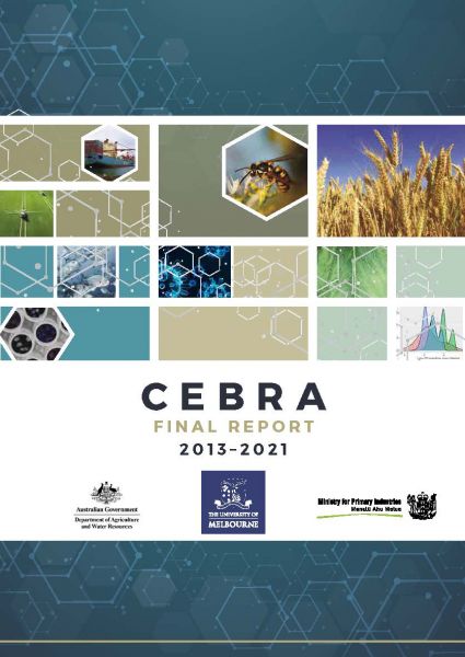 Final Report cover image 2021
