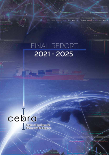 Final Report cover image 2021-2025