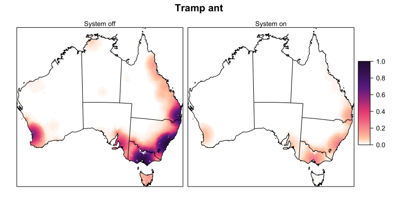 Risk map showing the infection rate of tramp ants across Australia with the biosecurity system turned off (left) and on (right). The left figure has significantly higher values (shaded in purple) concentrated around major cities.